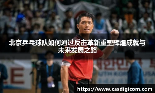北京乒乓球队如何通过反击革新重塑辉煌成就与未来发展之路